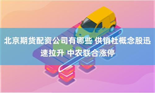 北京期货配资公司有哪些 供销社概念股迅速拉升 中农联合涨停