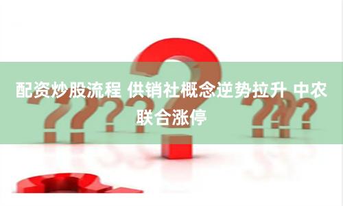 配资炒股流程 供销社概念逆势拉升 中农联合涨停