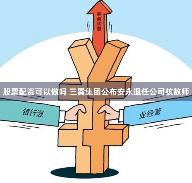 股票配资可以做吗 三巽集团公布安永退任公司核数师